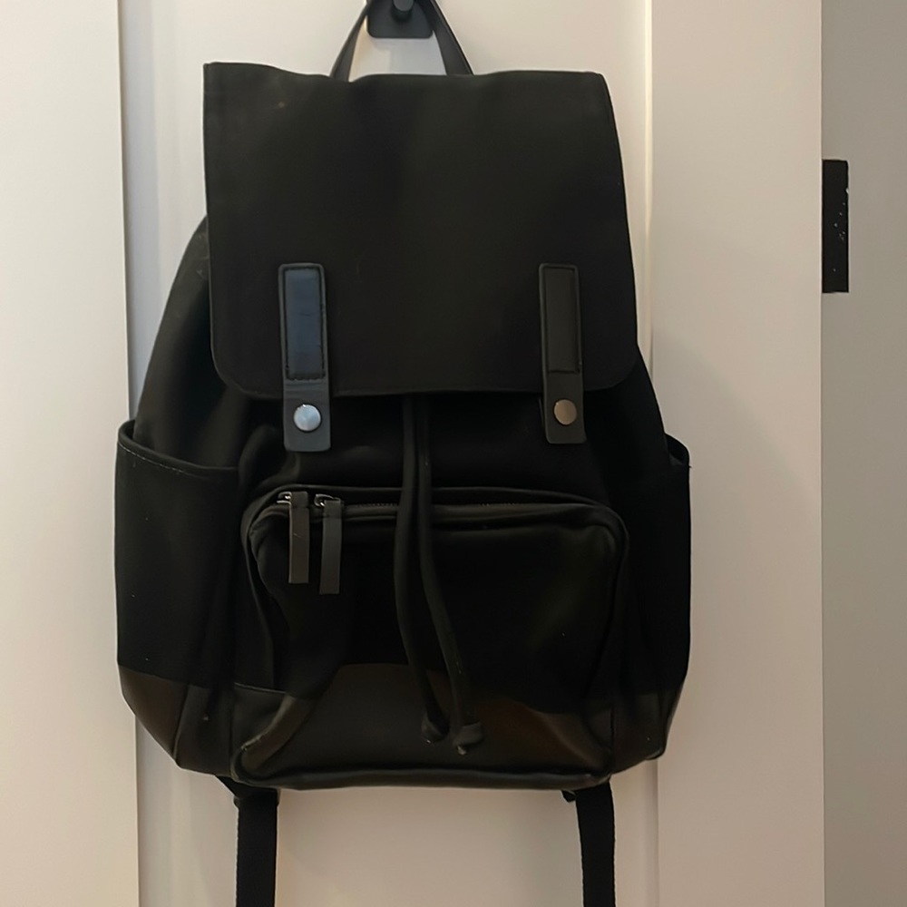 Everlane Black Canvas Backpack